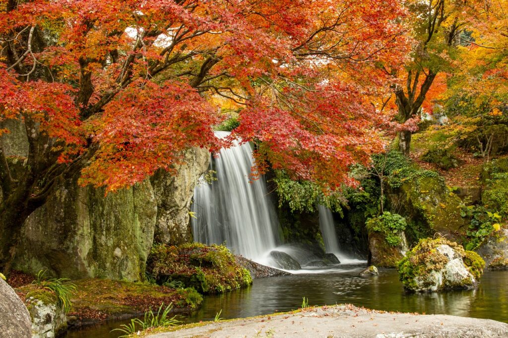 コースデビューに向けた準備は何をすればいいの？