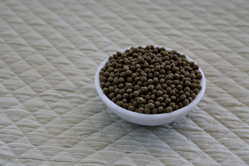 バンカーショットが苦手なあなたが克服するための練習法は？