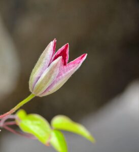 初心者がパター練習で上達するための効果的な方法は？