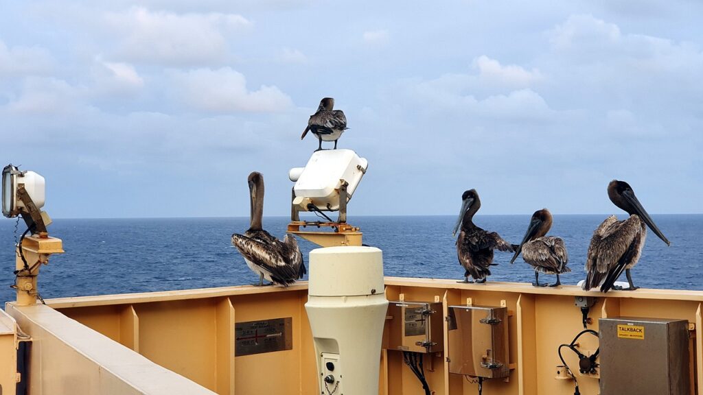 ウェッジのバンスを使ったコーディネートのポイントは？