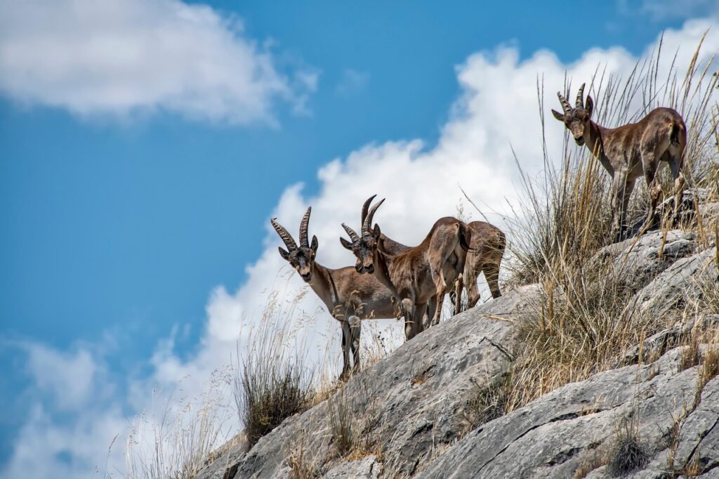 ウェッジのバンス角はどのように選べば良いのか？
