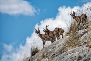 ウェッジのバンス角はどのように選べば良いのか？
