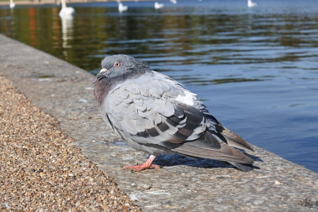 バウンスウェッジの選び方とおすすめモデルは？